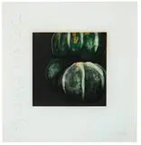 Donald Sultan, Squash (from Fruits and Flowers), 1991, Screenprint on Arches 88 paper