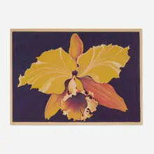 Lowell Nesbitt, Orchid, 1973, lithograph in colors