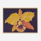 Lowell Nesbitt, Orchid, 1973, lithograph in colors