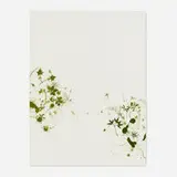 Darren Waterston, Dandy No. 5, 2001, watercolor on paper