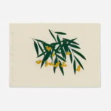 Donald Sultan, Mimosa Aug 13 2015, 2015, gouache, graphite, flocking on paper