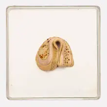 Hannah Wilke, Untitled, 1979, chewing gum in Plexiglas box