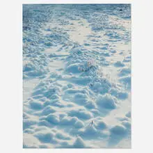 Torbjørn Rødland, White Field, 1999, c-print mounted on aluminum