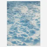 Torbjørn Rødland, White Field, 1999, c-print mounted on aluminum