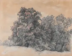 Jan Nowopacký, Trees in Vienna Prater, 1849, Pencil, sanguine, paper