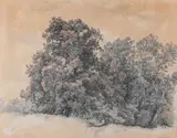 Jan Nowopacký, Trees in Vienna Prater, 1849, Pencil, sanguine, paper