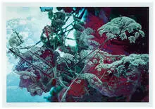 Peter Fischli, Untitled, 1998, Inkjet print