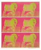 Bruce Nauman, Untitled