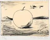 Kamil Lhoták, Advertising Apple