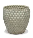 David Cressey, Planter