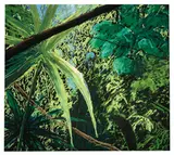 Peter Alexander, Coba IVI; Hermosa Flats II (2)