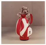 William Wegman, Golfer; Rain Ready (2)