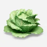 Dodie Thayer, Lettuce Ware covered tureen with plate, 1973, glazed earthenware