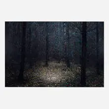 Ellie Davies, Stars I, 2014-15, digital C-print