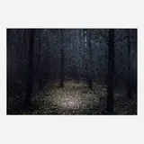 Ellie Davies, Stars I, 2014-15, digital C-print