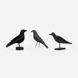 Folk Art, collection of three crow decoys