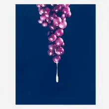 David Benjamin Sherry, Semen and Grapes, 2008, traditional color print
