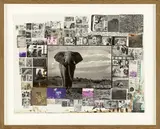 Peter Beard, Elephant and Kilimanjaro