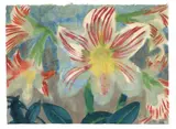 Emil Nolde, Amaryllisblüten, Um 1930, Aquarell auf Japanbütten