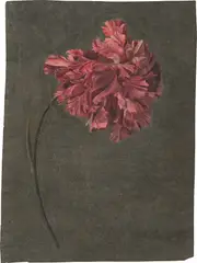 Deutsch, um 1820, Zwei Ölstudien: Nelke und Blätterzweig, Öl auf Papier / Öl auf Leinwand (nicht aufgespannt)