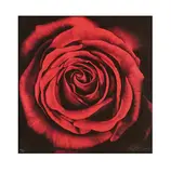 Untitled (Rose) by Robert Longo, 2005, Digital pigment print on Crane Museo paper, sold Sep 2018