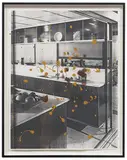 Sam Durant, Group of works (4), Photocopies with mixed-media on paper
