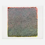 Warren Rohrer, Barks and Marks, 1988, lithograph in colors on BFK Rives