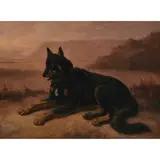 Louise Lalande, Recumbent Belgian Tervuren, 1883