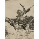 Frank Weston Benson, Startled Ducks, 1930