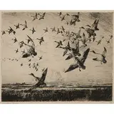 Frank Weston Benson, Morning Flight, 1918