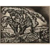 Howard Cook, Mexican Landscape (Desert Tree), 1933