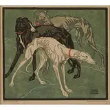 Norbertine Bresslern-Roth, Greyhounds