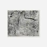 Fresh Snow, Yosemite Valley, California, 1947 (from Portfolio VI) by Ansel Adams, gelatin silver print, sold Sep 2018