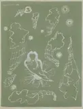 Cecil Collins, Untitled, gouache on green paper 26 x 19.5cm Provenance: Austin Desmond Fine Art