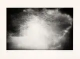 Alison Wilding, Untitled, unframed (2) Provenance: Curwen Print Study Centre. .