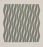 Bridget Riley, Untitled