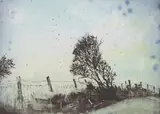 Elizabeth Magill, Untitled