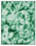 Jeff Elrod, Green Echo