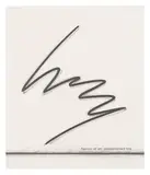 Bernar Venet, Position of an Undetermined Line