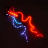 Dale Chihuly and James Carpenter, Untitled (Illuminated Wall Sculpture), c. 1976, hand-blown glass, neon gas