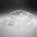 Dale Chihuly, Seaform set