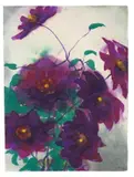 Emil Nolde, Clematis-Blüten, Um 1925, Aquarell auf Japan