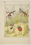Ondřej Sekora, How Ladybug Snitched, 1936, ink, watercolour, gouache on paper