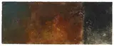 Joe Goode, Forest Fire #117