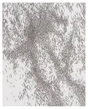 Robert Jack, Simple Multiplier, 2004, Ink on paper