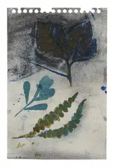 Terry Winters, Untitled, 1981, Charcoal and watercolor on paper