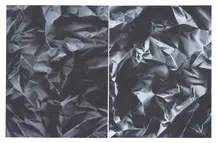 Blake Rayne, Untitled Painting No. 25 (California Redwood), 2006, Acrylic diptych on canvas