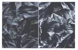 Blake Rayne, Untitled Painting No. 25 (California Redwood), 2006, Acrylic diptych on canvas