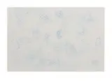 Tara Donovan, Untitled (Bubble Drawing), 2005, Ink on foamcore