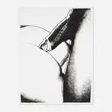 Untitled (from the Sex Parts series) by Andy Warhol, 1978, screenprint on HMP, sold Feb 2024